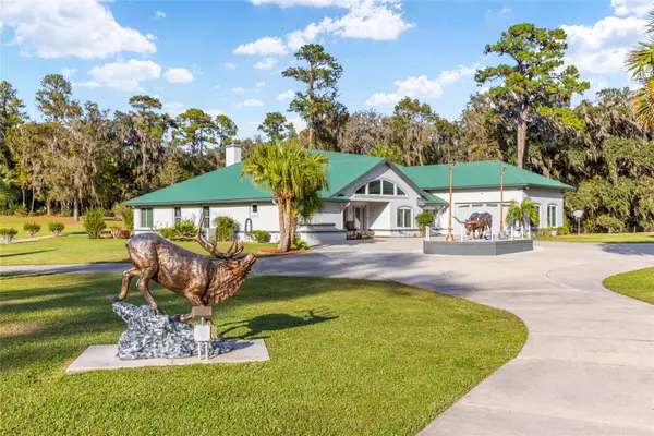 255 SW 96th Lane, OCALA, FL 34476