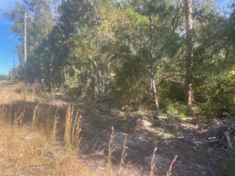 Bay Road, Ocklawaha, FL 32179 - Image #2