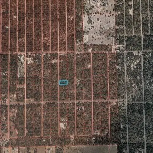 SE 135th Court, Dunnellon, FL 34431 - Image #2