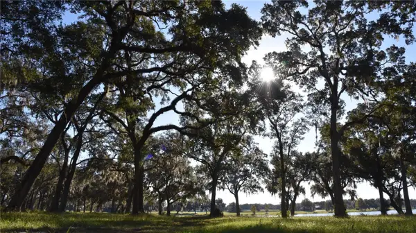 Off Hwy 301, SUMMERFIELD, FL 34491