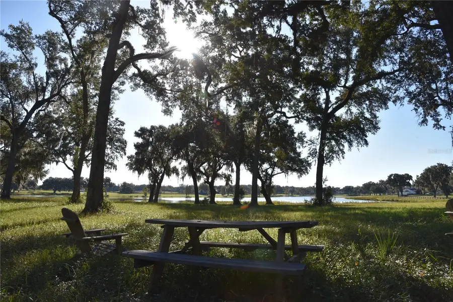 Off Hwy 301, Summerfield, FL 34491 - Image #2