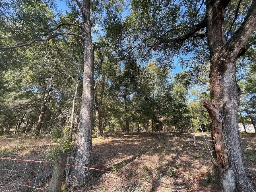 13465 SW 100th Street, Dunnellon, FL 34432 - Image #2