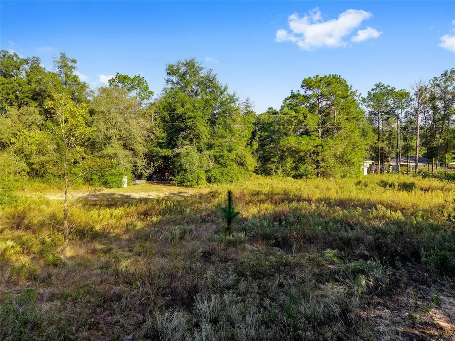 Sw 151st Avenue, Ocala, FL 34481 - Image #3