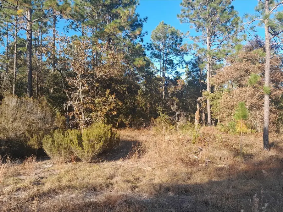 NE 10th Street, Williston, FL 32696 - Image #2