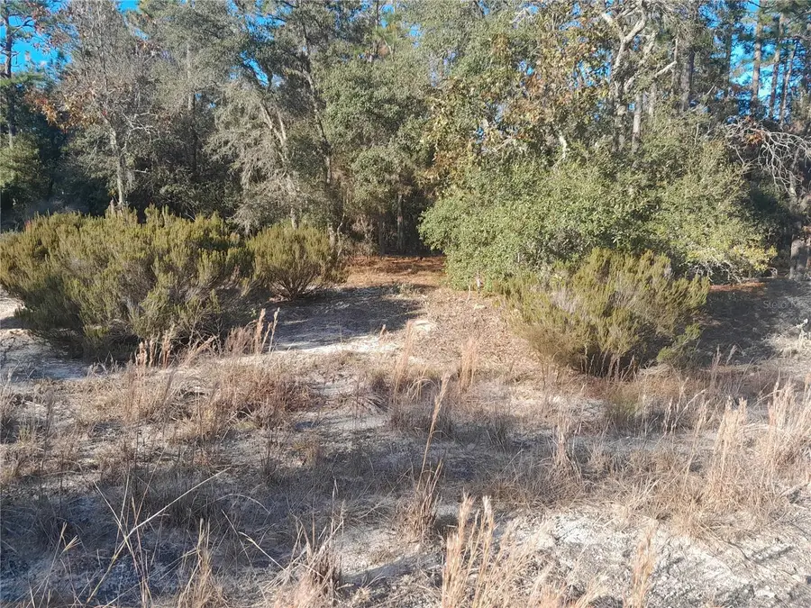 NE 10th Street, Williston, FL 32696 - Image #3