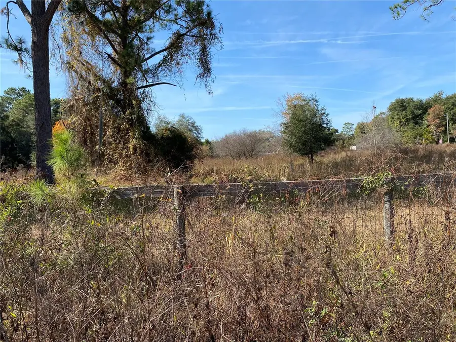 19690 NE 73 Terrace, Citra, FL 32113 - Image #3