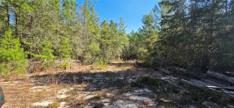 238 Cemetery Road, Fort McCoy, FL 32134 - Image #3