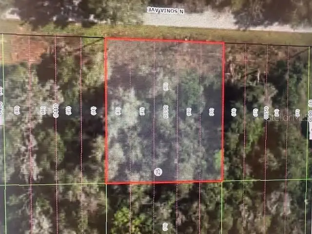 1018 N Sonia Avenue, Inverness, FL 34453 - Image #1