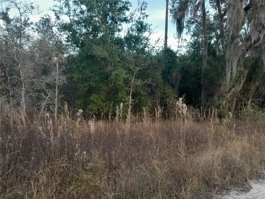 1531 NE 123rd Avenue, Williston, FL 32696 - Image #2