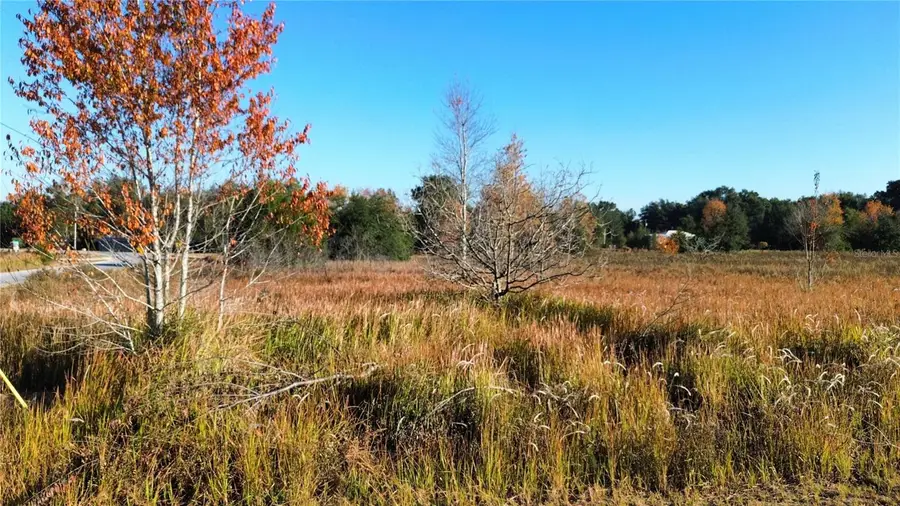 0 Sw 32nd Place, Ocala, FL 34481 - Image #2