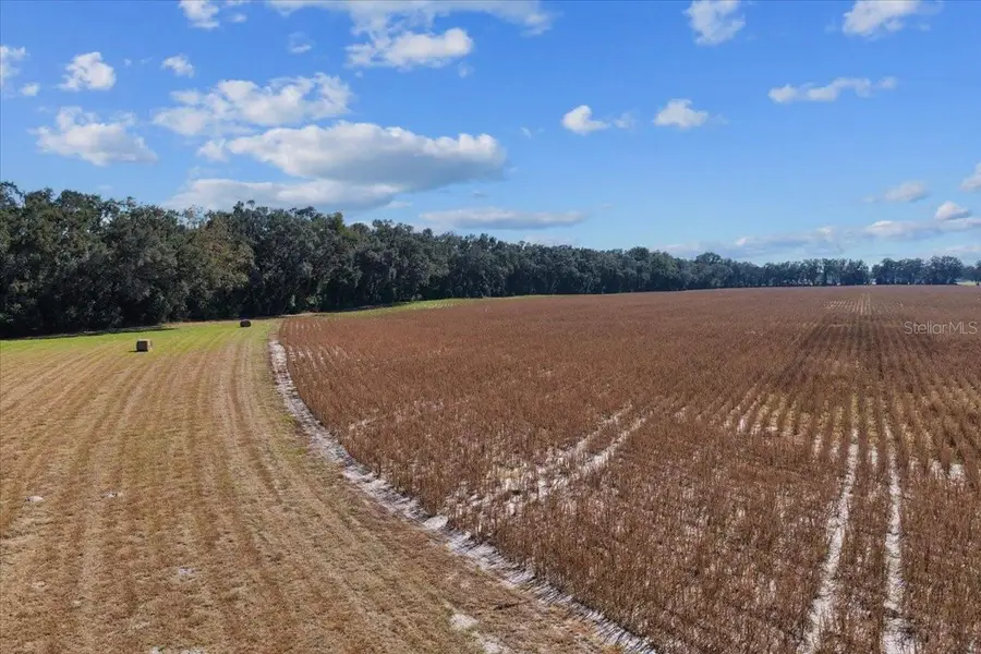 TBD NE 150 Street, Trenton, FL 32693 - Image #2