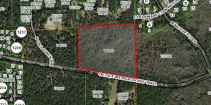 1785 E Withlacoochee Trl, Dunnellon, FL 34434 - Image #1