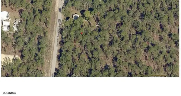 TBD SW Buena Vista Road, DUNNELLON, FL, FL 34431