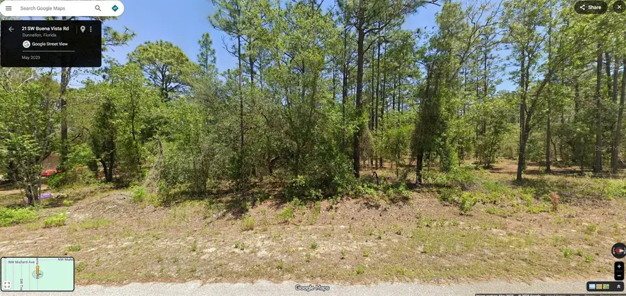 TBD SW Buena Vista Road, Rainbow Lakes Estates, FL 34431 - Image #3