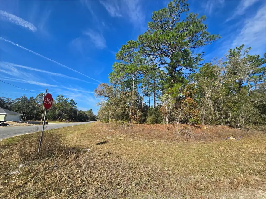 6434 N Baylor Terrace, Citrus Springs, FL 34433 - Image #2