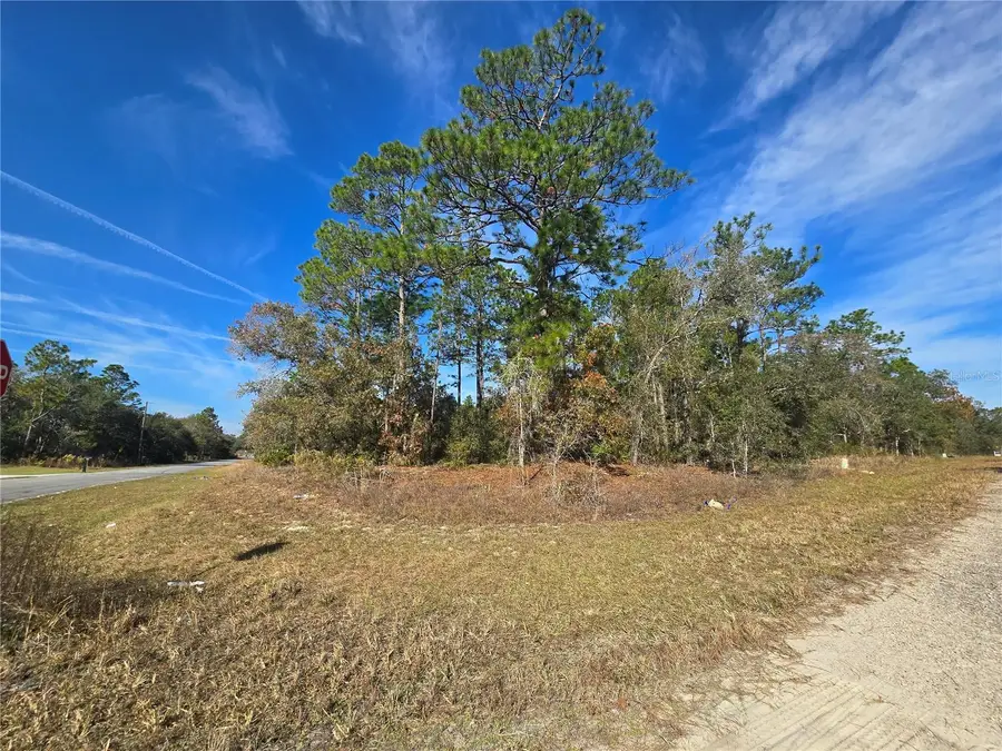 6434 N Baylor Terrace, Citrus Springs, FL 34433 - Image #3