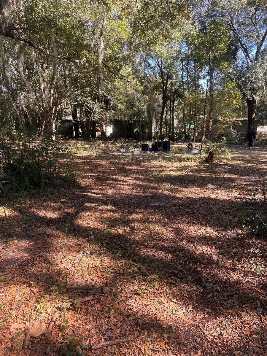 2215 NE 8th Avenue, Gainesville, FL 32641 - Image #2