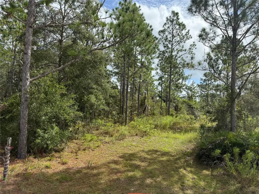 7341 SE 117th, Morriston, FL 32668 - Image #3