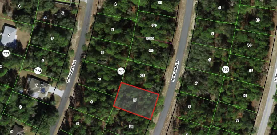 8116 N Triana Drive, Citrus Springs, FL 34434 - Image #3