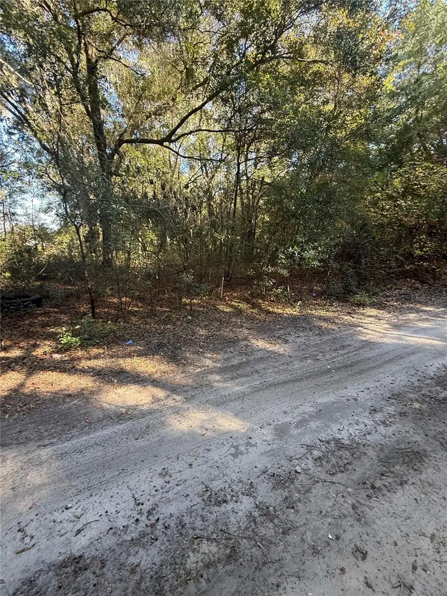 SW 148TH CT 32nd Place, Ocala, FL 34481 - Image #3