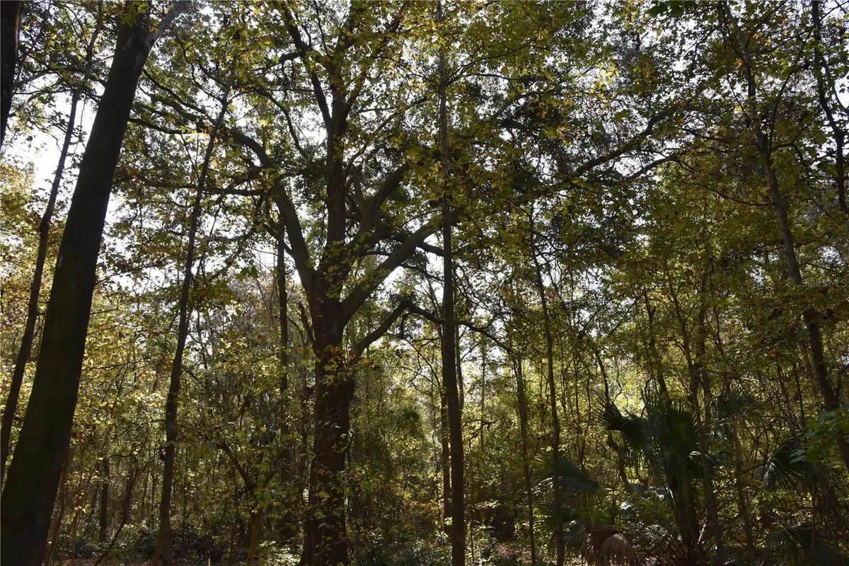 1220 SE Us Highway 301, Hawthorne, FL 32640 - Image #1