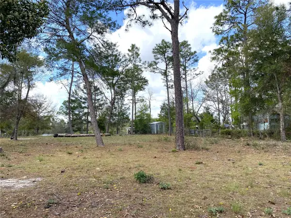 00 NE 142nd Court, WILLISTON, FL 32696