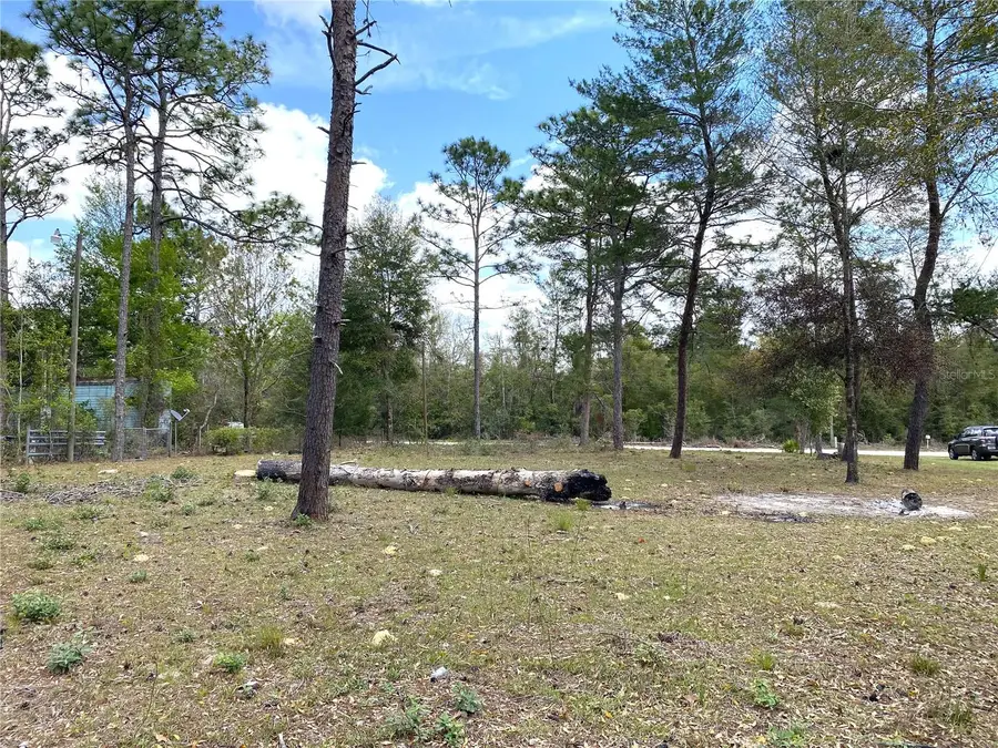 00 NE 142nd Court, Williston, FL 32696 - Image #2