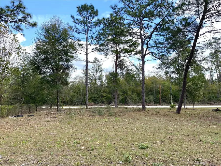 00 NE 142nd Court, Williston, FL 32696 - Image #3