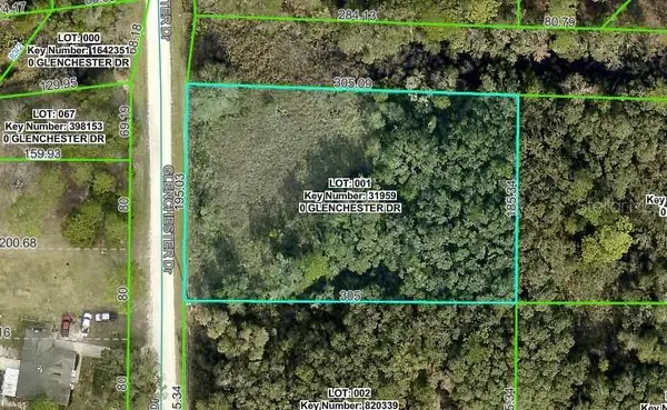 7222 Glenchester Drive, WEBSTER, FL 33597