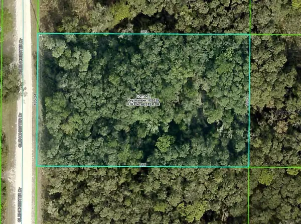 7192 Glenchester Drive, WEBSTER, FL 33597