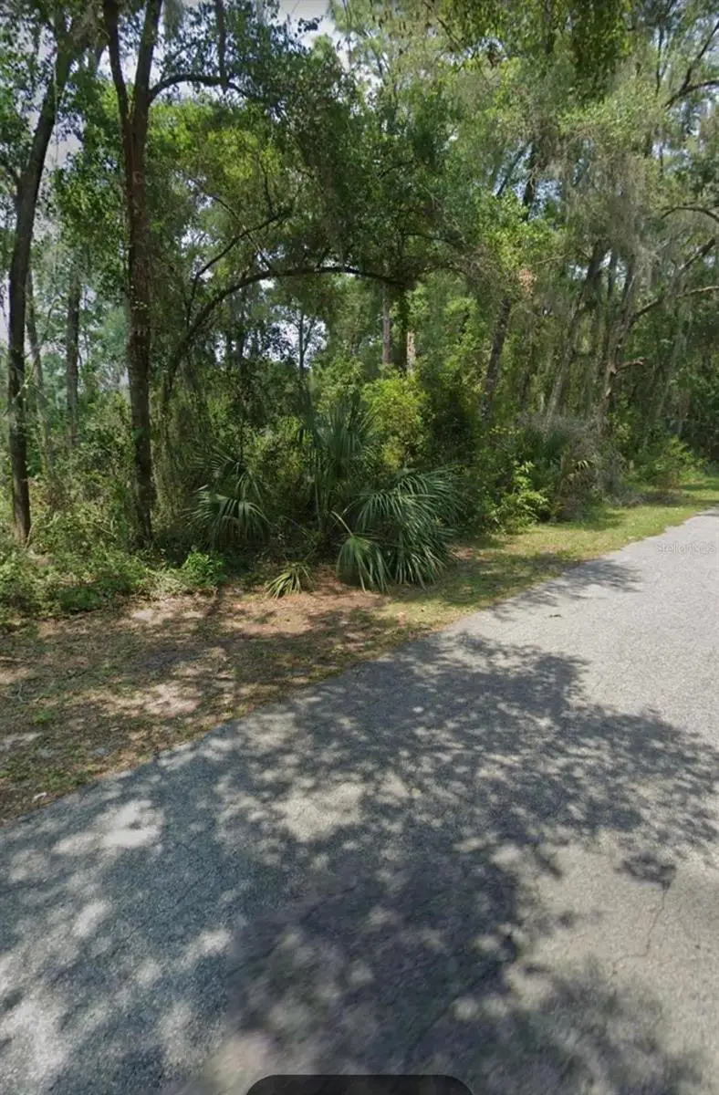 5979 E Seneca St, Inverness, FL 34452 - Image #3
