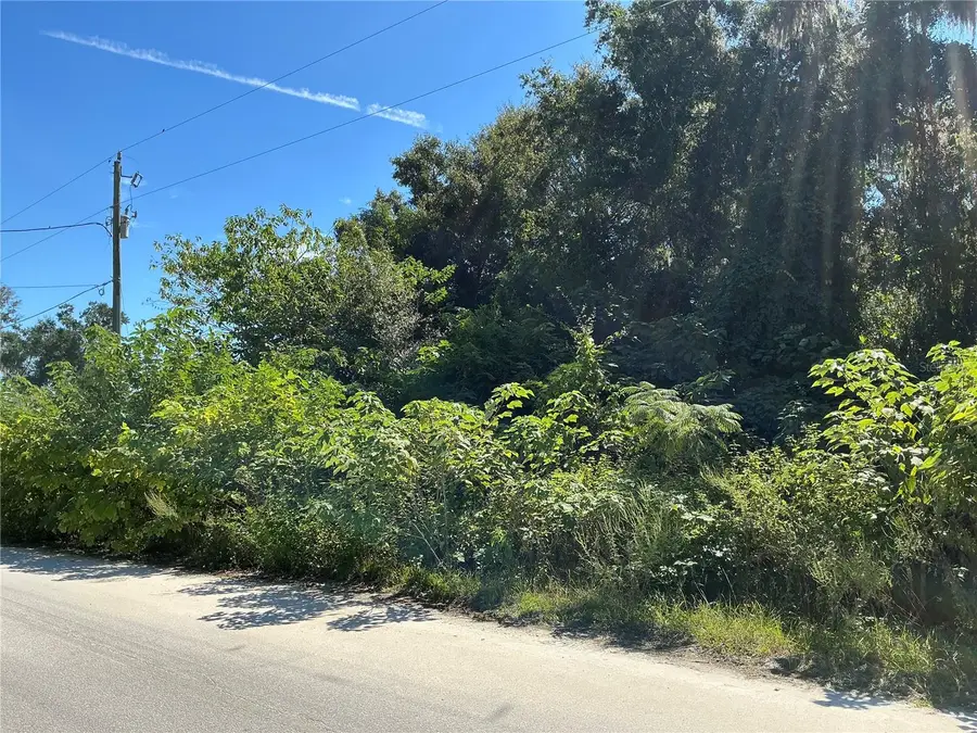 0 SE 134th Place, Belleview, FL 34420 - Image #2