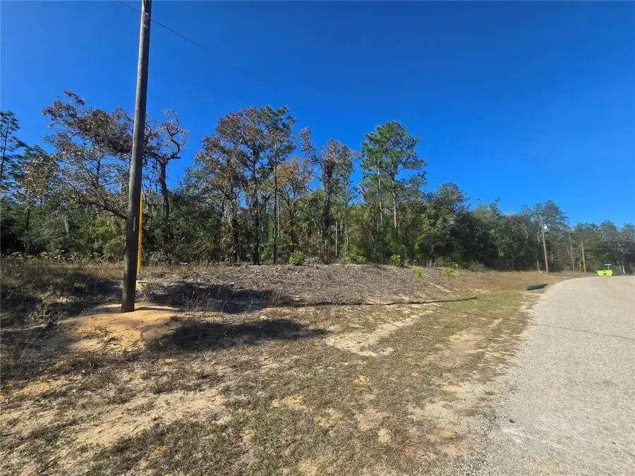 11136 N Vesta Point, Dunnellon, FL 34434 - Image #2