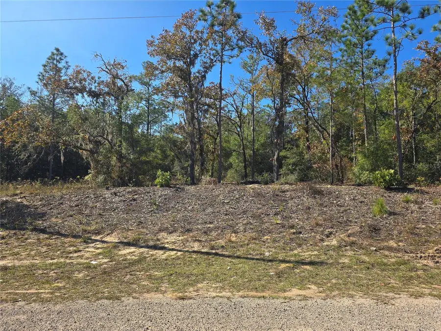 11136 N Vesta Point, Dunnellon, FL 34434 - Image #3