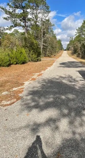 0 SE 139 Court, Dunnellon, FL 34434 - Image #2