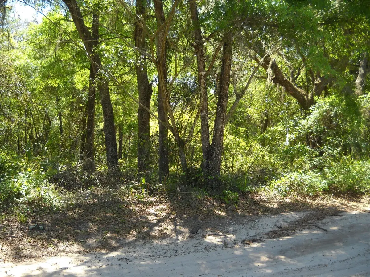 00 NE 161 Street, Citra, FL 32113 - Image #1