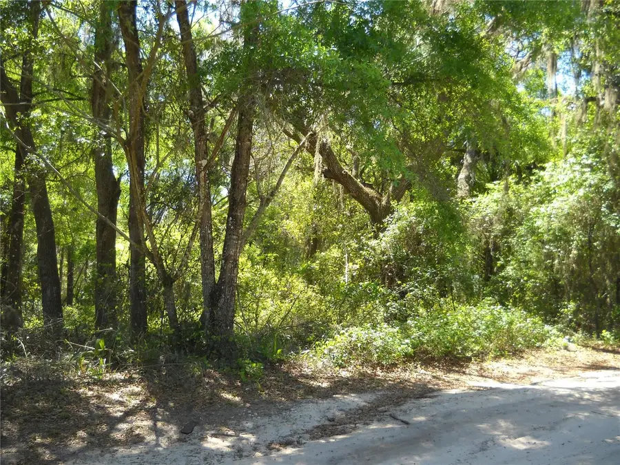 00 NE 161 Street, Citra, FL 32113 - Image #2