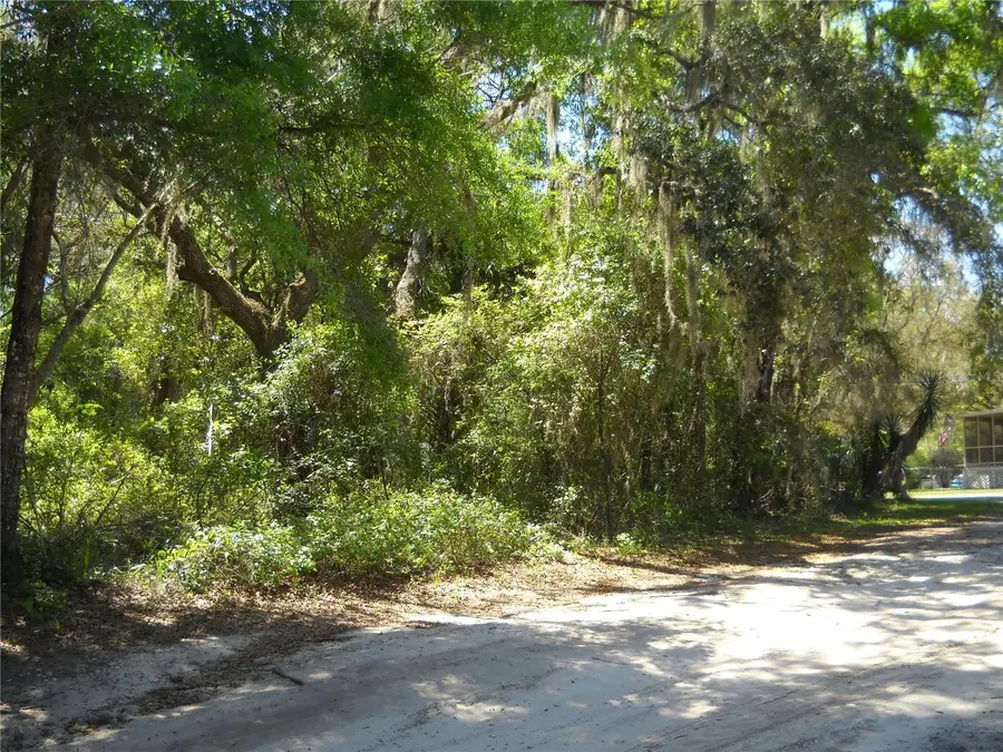 00 NE 161 Street, Citra, FL 32113 - Image #3