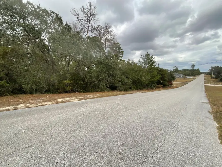 TBD SW 111th Place, Ocala, FL 34476 - Image #3