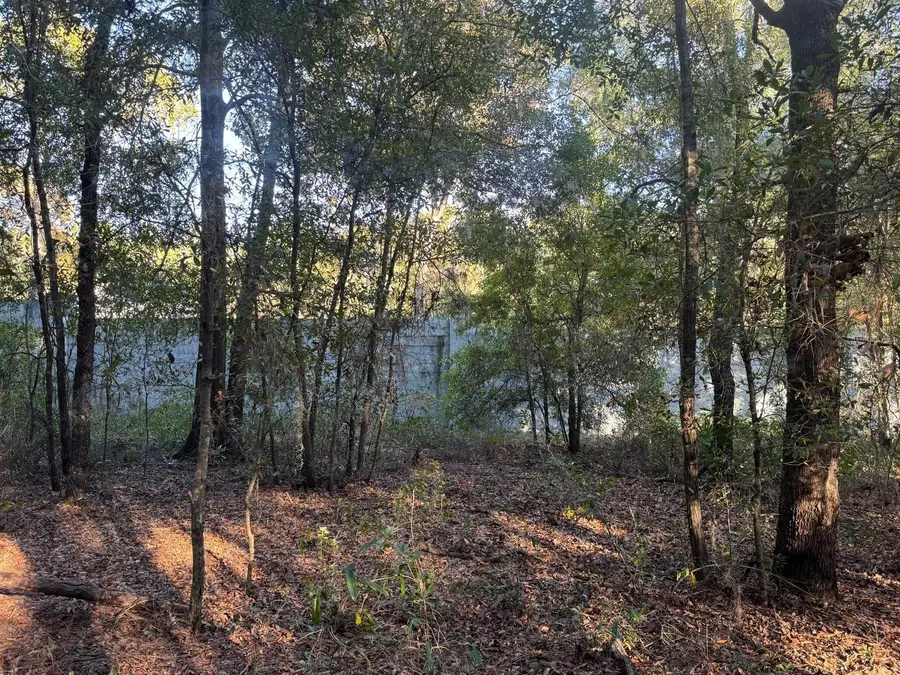 SW 66 Street, Ocala, FL 34481 - Image #2