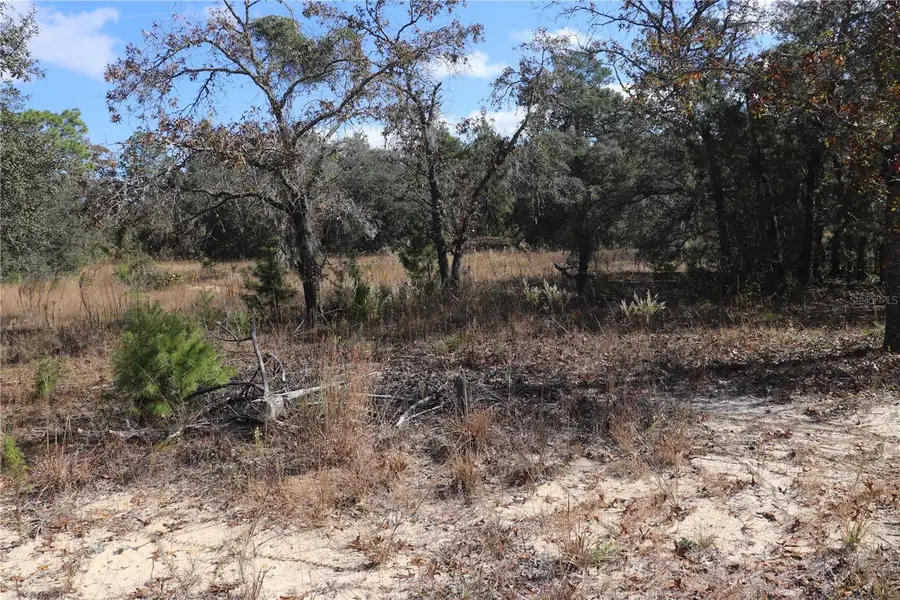 9097 N Peewee Point, Dunnellon, FL 34433 - Image #2