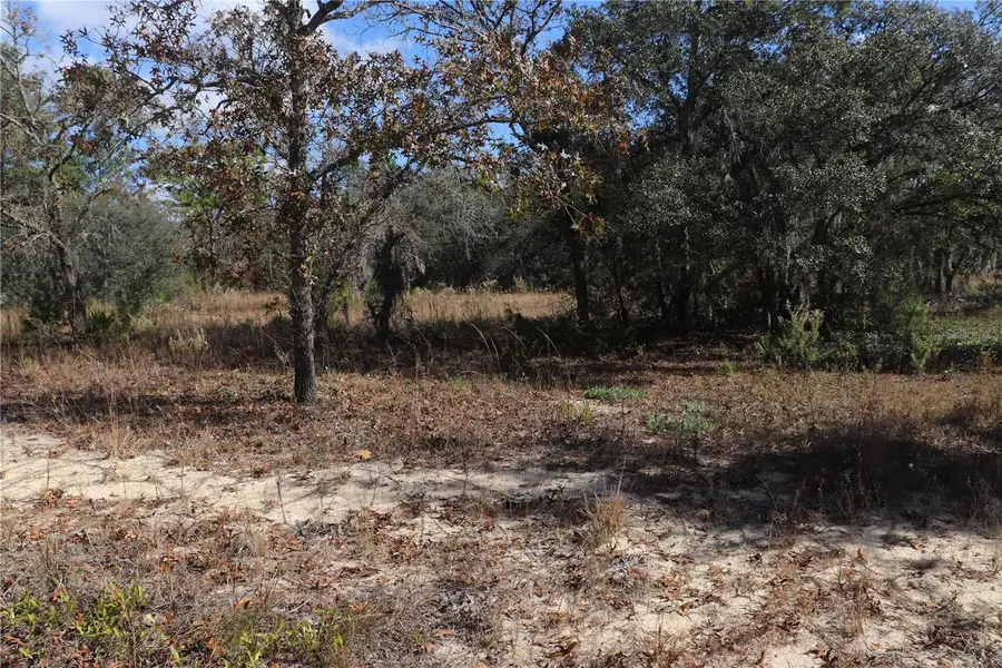 9097 N Peewee Point, Dunnellon, FL 34433 - Image #3