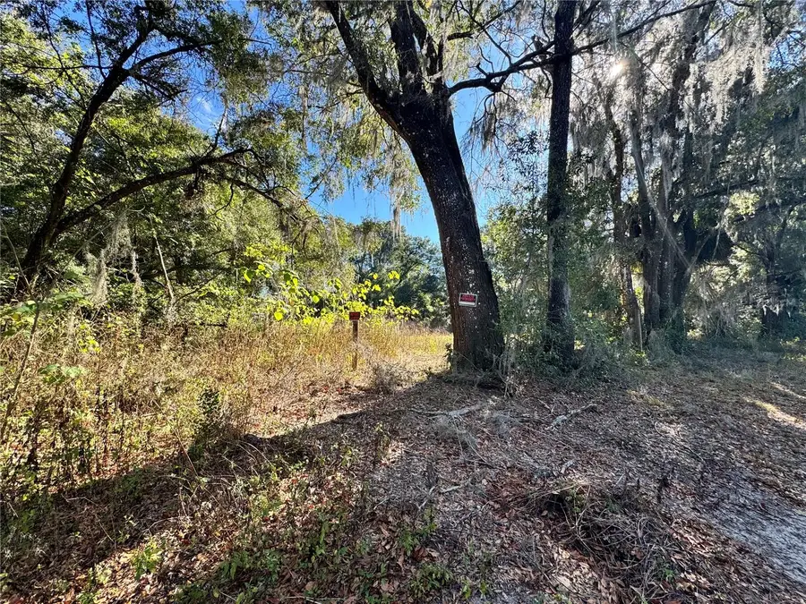 17901 NE 18th Avenue, Citra, FL 32113 - Image #2