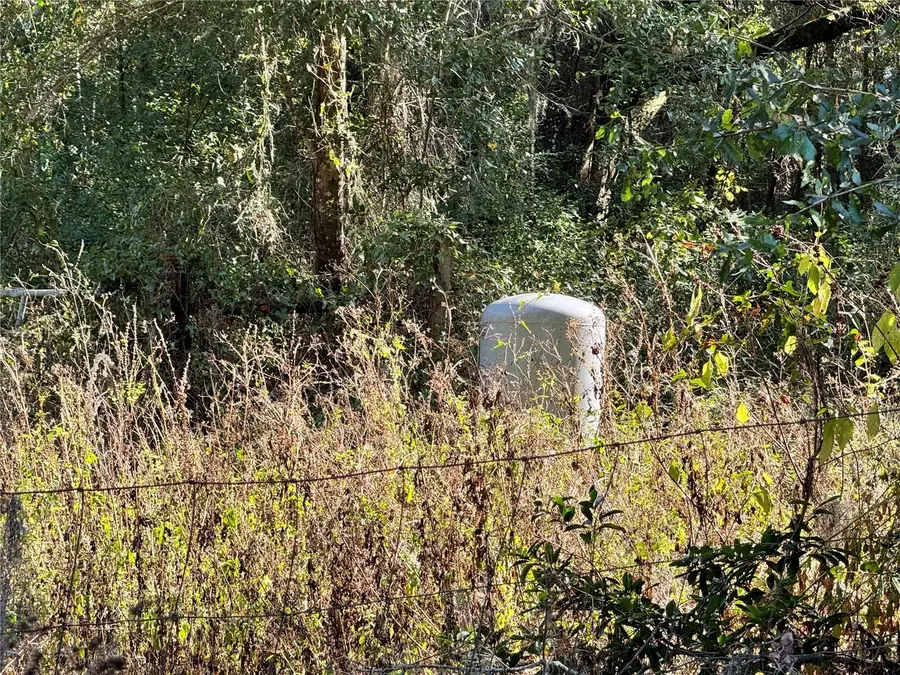 17901 NE 18th Avenue, Citra, FL 32113 - Image #3