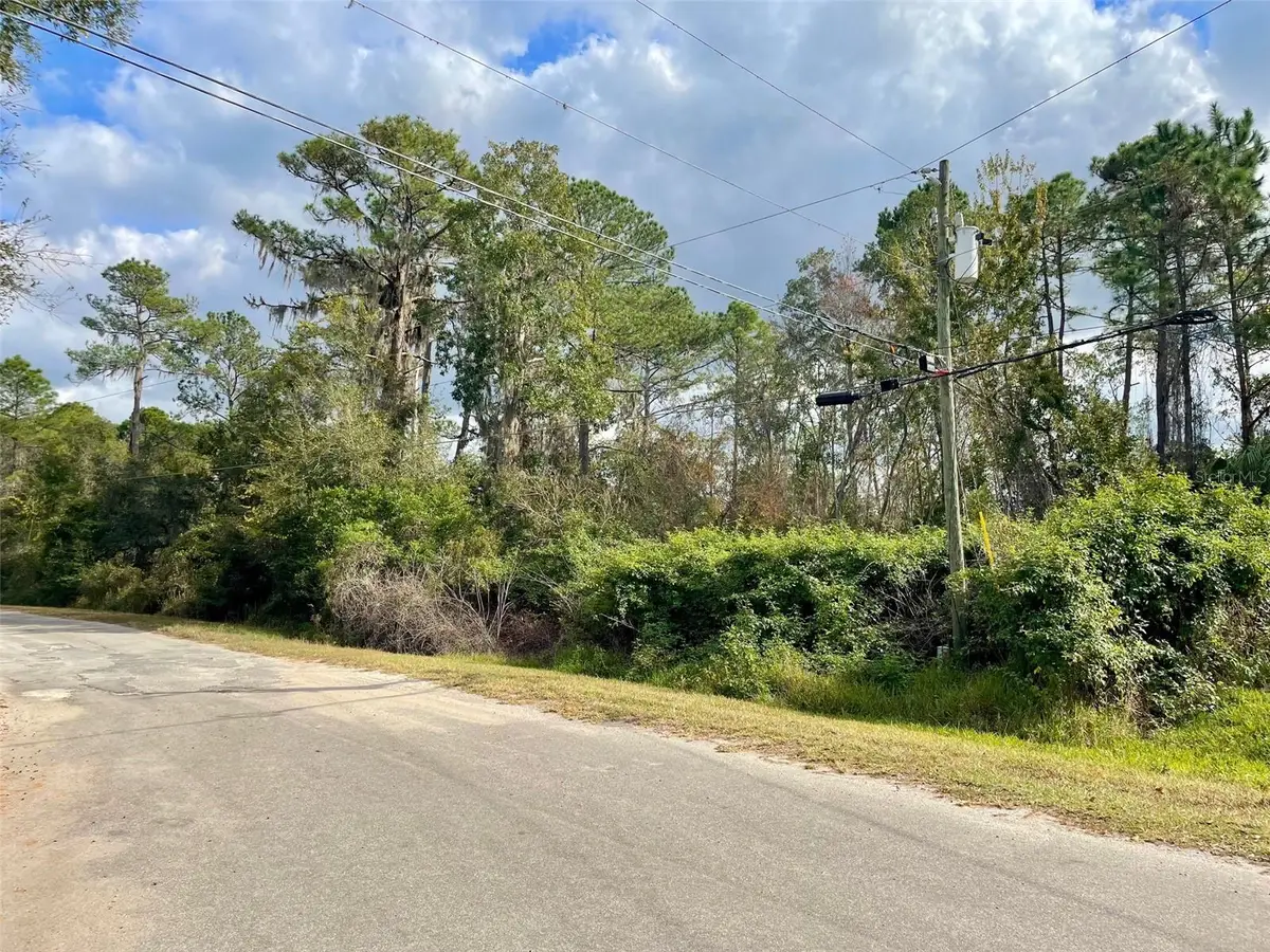000 Fisher Run, Ocklawaha, FL 32179 - Image #1