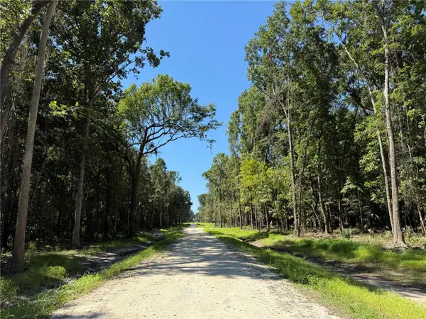 DR #7 (10ac) NW 193rd St, MICANOPY, FL 32667