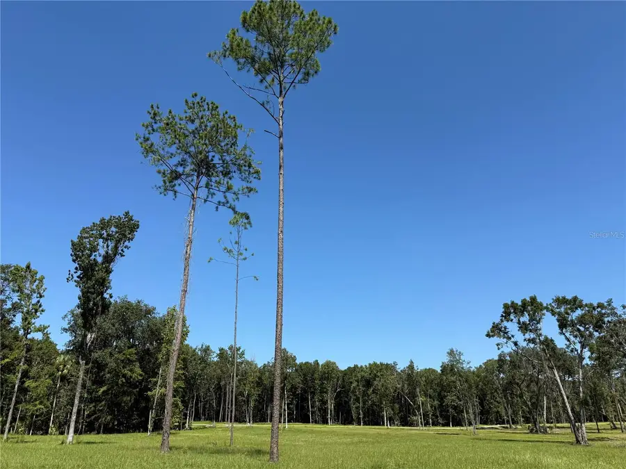 DR #7 (10ac) NW 193rd St, Micanopy, FL 32667 - Image #3