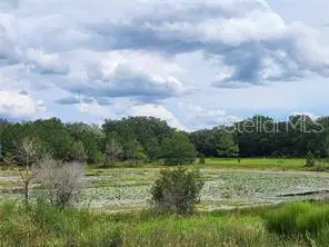 Orange Rd, Ocklawaha, FL 32179 - Image #2