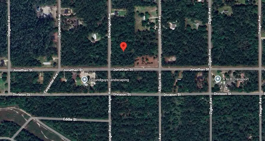 10720 Beckenger Avenue, Hastings, FL 32145 - Image #2