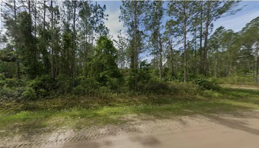 10720 Beckenger Avenue, Hastings, FL 32145 - Image #3
